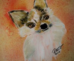 Chihuahua Zick Zack, Acryl auf Papier  30x25 cm (Verkauft)